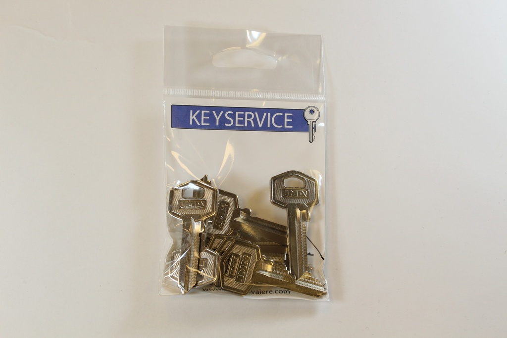 Sleutel 22 / TESA / TE8I