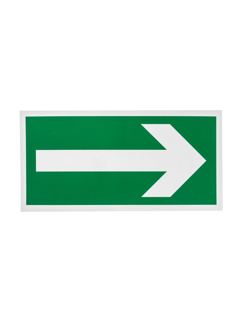 Pictogramme 101 Flèche directionnelle 90° 15x30 cm