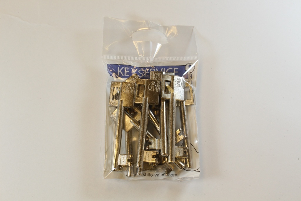 Sleutel 39   BINNENDEUR SLEUTEL   LITTO 57 C 01