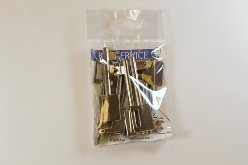 [99HAAK44] Sleutel 44 / BINNENDEUR SLEUTEL / LITTO 57 C 06