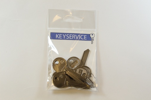 [99HAAK95] Sleutel 95 / RONIS / RO29D